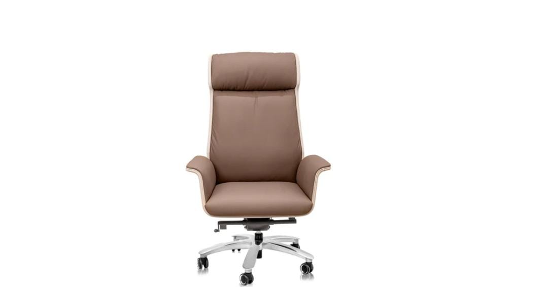 Premium Ergonomic Office Chair - Comfortable Executive Desk Chair