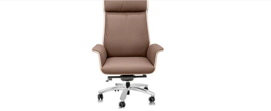 Premium Ergonomic Office Chair - Comfortable Executive Desk Chair