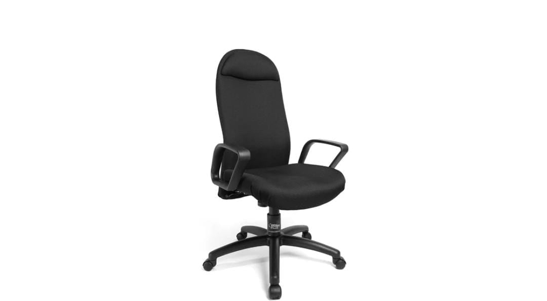 Premium Black Executive Office Chair - Ergonomic Desk Chair with Lumbar Support